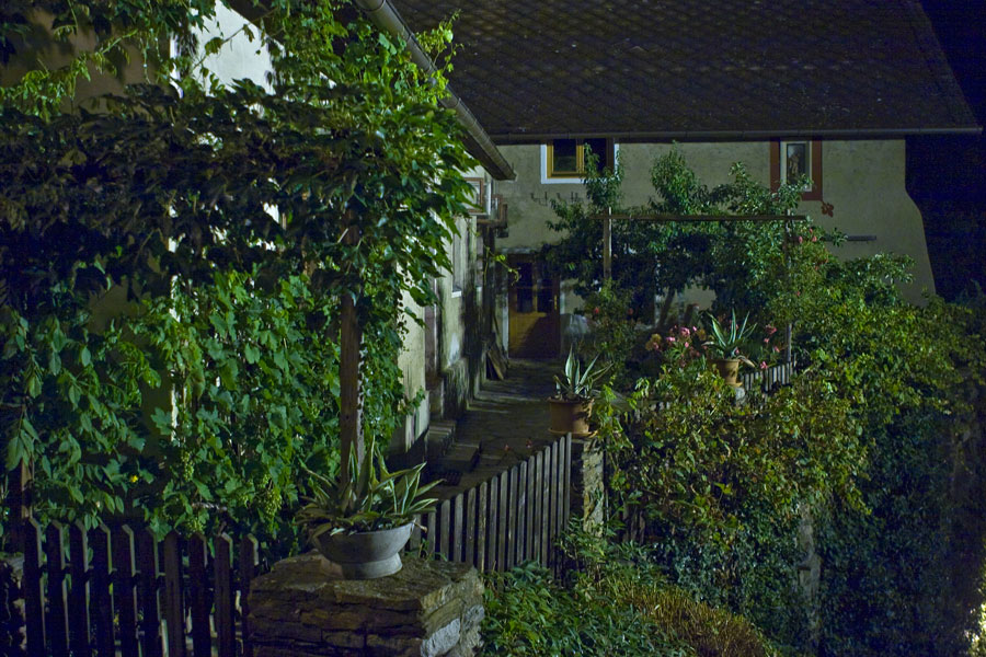 Foto 39/43 (Garten neben Frauenstiege in Stein)